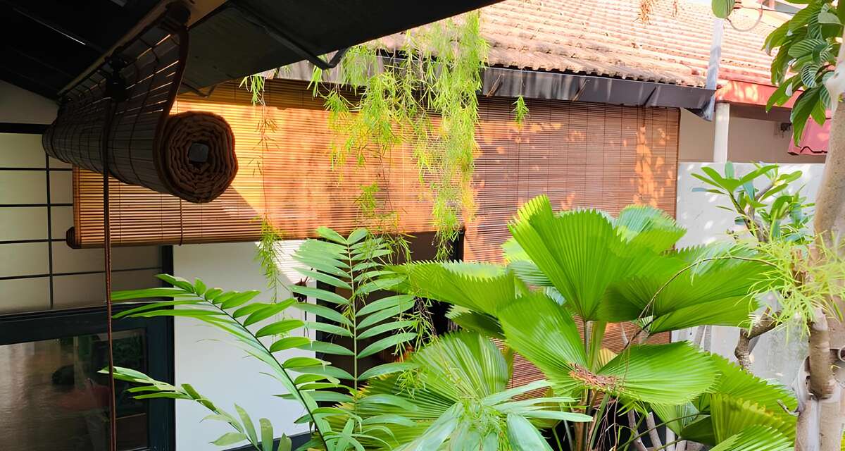 Waterproof Outdoor Bamboo Blinds